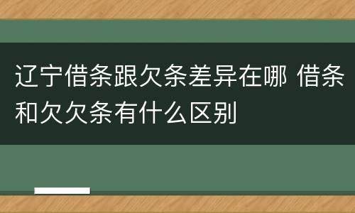 辽宁借条跟欠条差异在哪 借条和欠欠条有什么区别