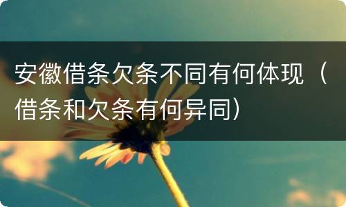 安徽借条欠条不同有何体现（借条和欠条有何异同）