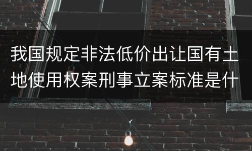 我国规定非法低价出让国有土地使用权案刑事立案标准是什么