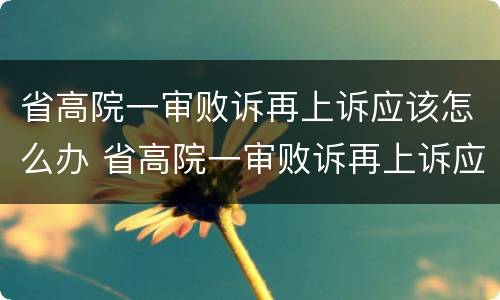 省高院一审败诉再上诉应该怎么办 省高院一审败诉再上诉应该怎么办呢