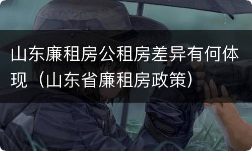 山东廉租房公租房差异有何体现（山东省廉租房政策）