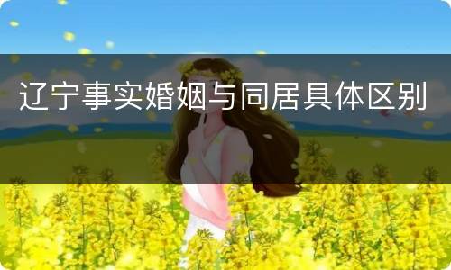 辽宁事实婚姻与同居具体区别
