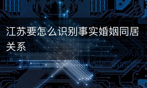 江苏要怎么识别事实婚姻同居关系