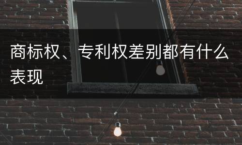 商标权、专利权差别都有什么表现