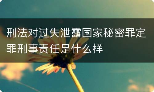 刑法对过失泄露国家秘密罪定罪刑事责任是什么样