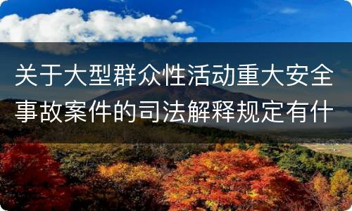 关于大型群众性活动重大安全事故案件的司法解释规定有什么主要内容