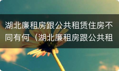 湖北廉租房跟公共租赁住房不同有何（湖北廉租房跟公共租赁住房不同有何影响）