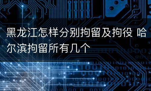 黑龙江怎样分别拘留及拘役 哈尔滨拘留所有几个