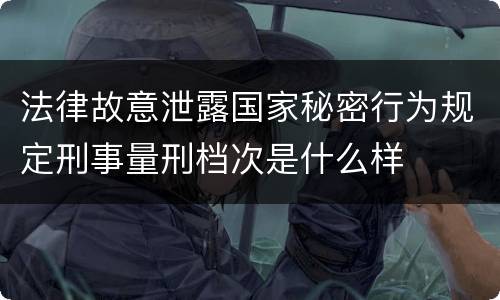 法律故意泄露国家秘密行为规定刑事量刑档次是什么样