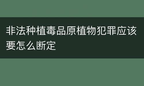 非法种植毒品原植物犯罪应该要怎么断定