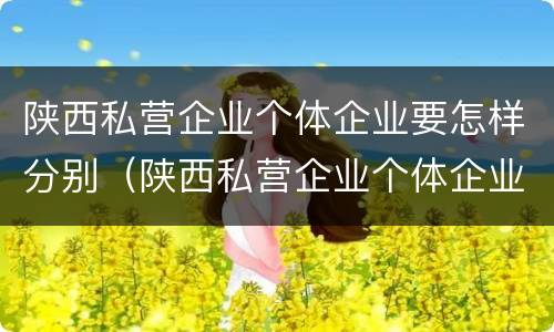 陕西私营企业个体企业要怎样分别（陕西私营企业个体企业要怎样分别认证）