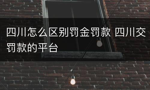 四川怎么区别罚金罚款 四川交罚款的平台