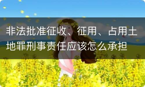 非法批准征收、征用、占用土地罪刑事责任应该怎么承担