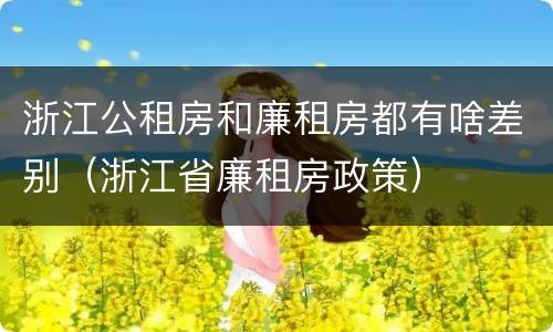 浙江公租房和廉租房都有啥差别（浙江省廉租房政策）