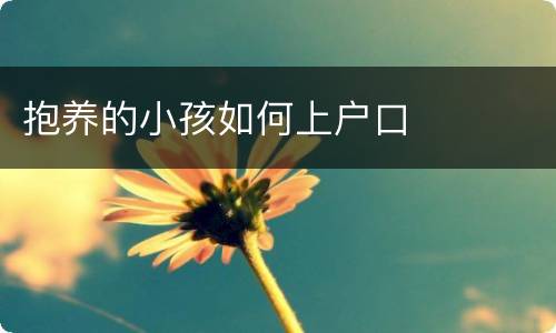 抱养的小孩如何上户口