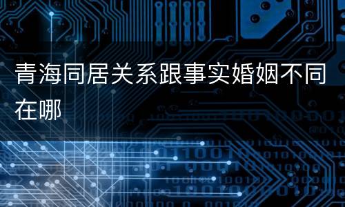 青海同居关系跟事实婚姻不同在哪