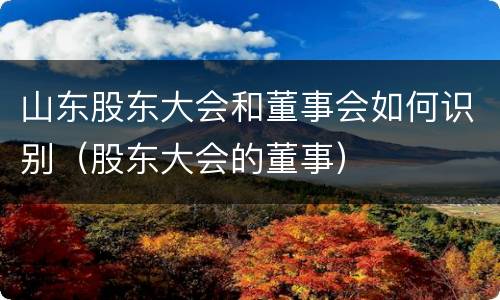 山东股东大会和董事会如何识别（股东大会的董事）