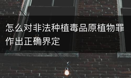 怎么对非法种植毒品原植物罪作出正确界定