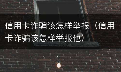 信用卡诈骗该怎样举报（信用卡诈骗该怎样举报他）