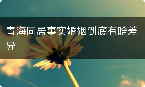 青海同居事实婚姻到底有啥差异