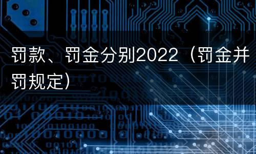 罚款、罚金分别2022（罚金并罚规定）