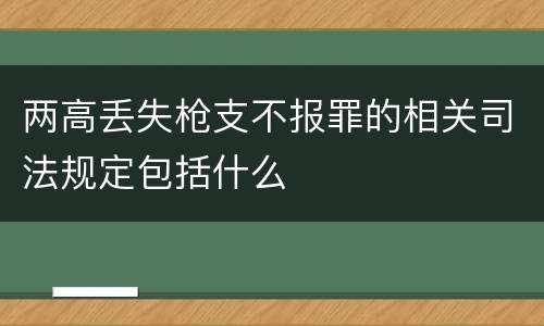 两高丢失枪支不报罪的相关司法规定包括什么