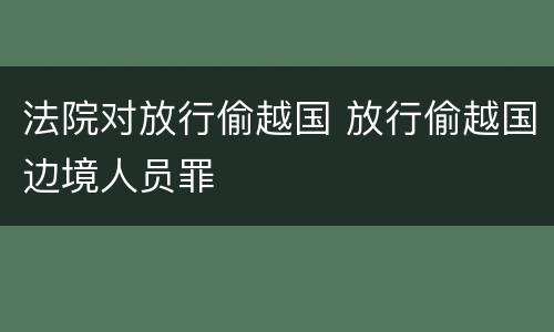 法院对放行偷越国 放行偷越国边境人员罪