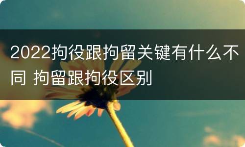 2022拘役跟拘留关键有什么不同 拘留跟拘役区别