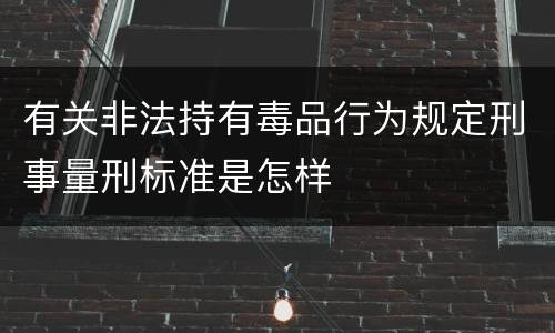 有关非法持有毒品行为规定刑事量刑标准是怎样