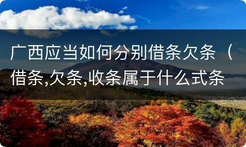 广西应当如何分别借条欠条（借条,欠条,收条属于什么式条据）