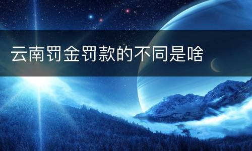 云南罚金罚款的不同是啥