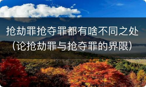 抢劫罪抢夺罪都有啥不同之处（论抢劫罪与抢夺罪的界限）