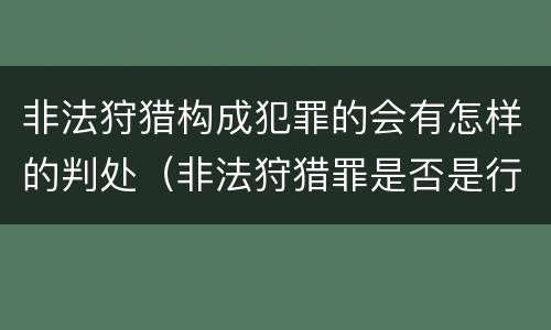 非法狩猎构成犯罪的会有怎样的判处（非法狩猎罪是否是行为犯）