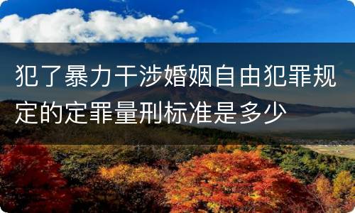 犯了暴力干涉婚姻自由犯罪规定的定罪量刑标准是多少