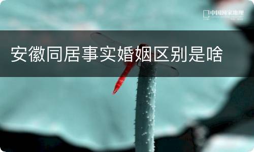 安徽同居事实婚姻区别是啥