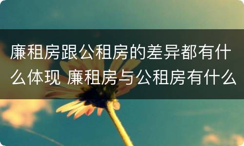 廉租房跟公租房的差异都有什么体现 廉租房与公租房有什么不同