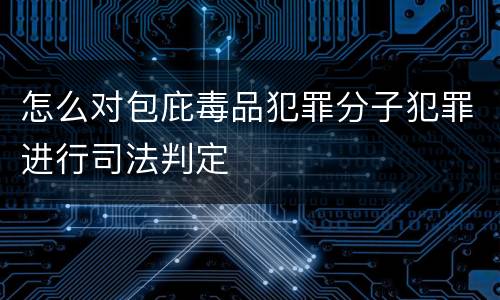 怎么对包庇毒品犯罪分子犯罪进行司法判定