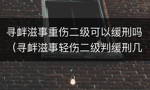 寻衅滋事重伤二级可以缓刑吗（寻衅滋事轻伤二级判缓刑几率大吗）
