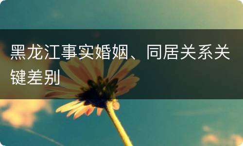 黑龙江事实婚姻、同居关系关键差别