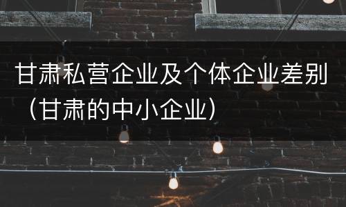 甘肃私营企业及个体企业差别（甘肃的中小企业）