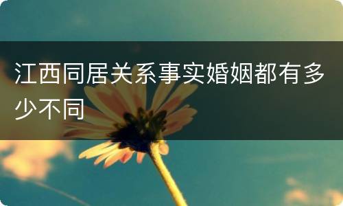 江西同居关系事实婚姻都有多少不同