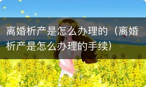 离婚析产是怎么办理的（离婚析产是怎么办理的手续）