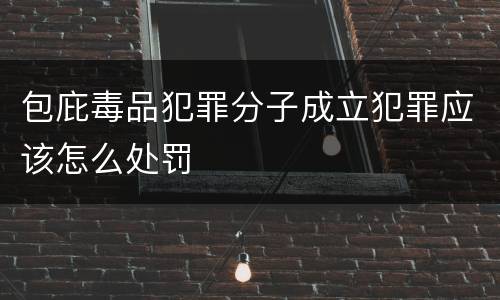 包庇毒品犯罪分子成立犯罪应该怎么处罚