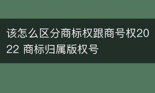该怎么区分商标权跟商号权2022 商标归属版权号