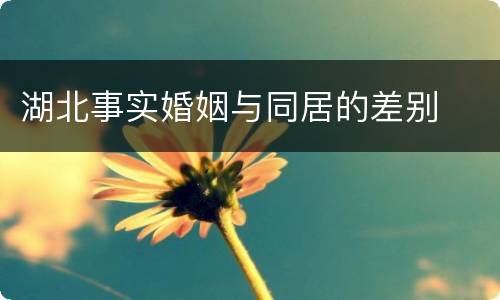 湖北事实婚姻与同居的差别