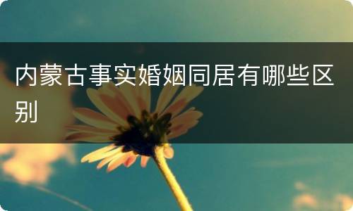 内蒙古事实婚姻同居有哪些区别
