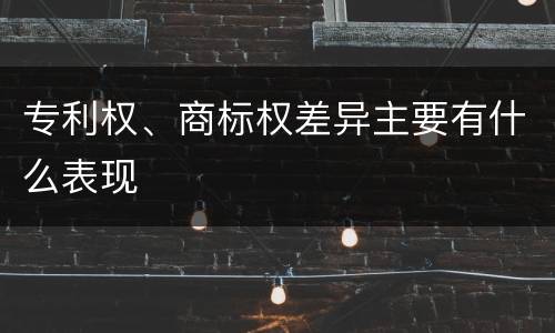 专利权、商标权差异主要有什么表现