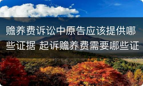 赡养费诉讼中原告应该提供哪些证据 起诉赡养费需要哪些证据