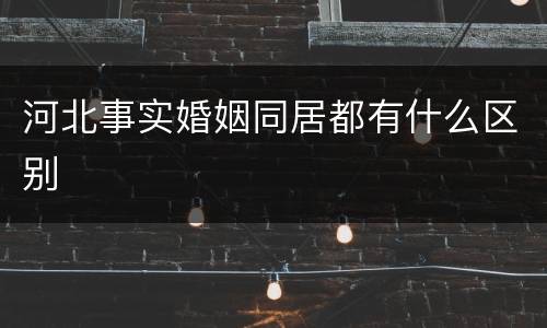 河北事实婚姻同居都有什么区别