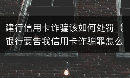 建行信用卡诈骗该如何处罚（银行要告我信用卡诈骗罪怎么办）